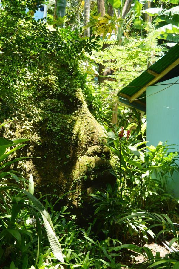 Hotel Luna Llena Nicoya Eksteriør billede